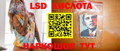mdpv Ярославль