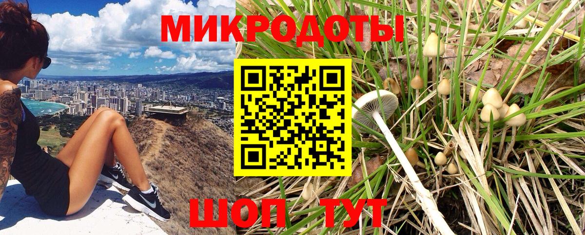 Псилоцибиновые грибы Psilocybine cubensis Шали