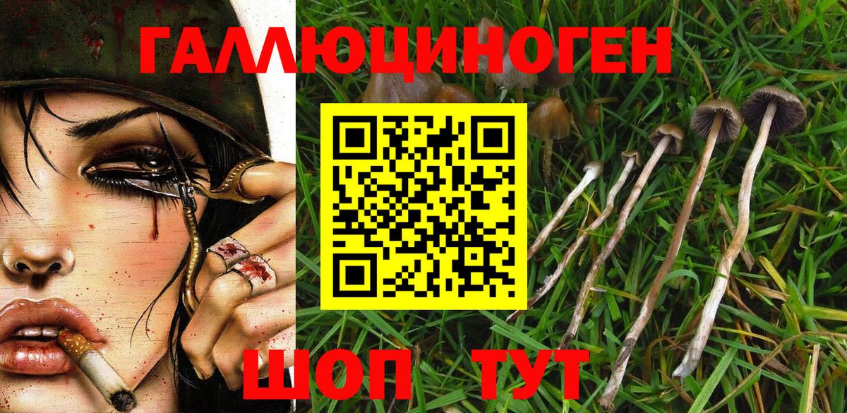 Шали  Галлюциногенные грибы прущие грибы  Вход с VPN 